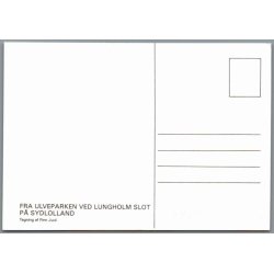 Lungholm Ulvepark - Postkort - Ubrugt