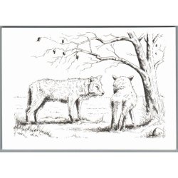 Lungholm Ulvepark - Postkort - Ubrugt