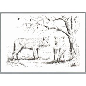 Lungholm Ulvepark - Postkort - Ubrugt