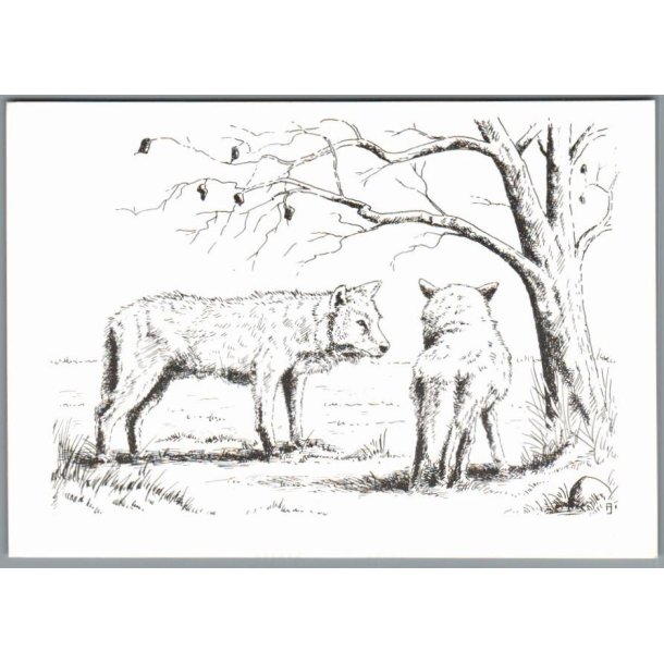 Lungholm Ulvepark - Postkort - Ubrugt