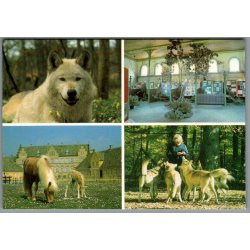 Lungholm Ulvepark - Postkort - Ubrugt