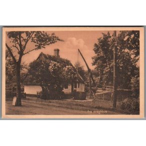 Fra Kraghave - Postkort - Ubrugt