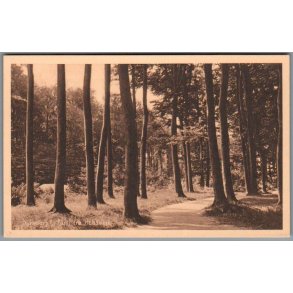 Nyk�bing Falster - Fra Kohaven - Postkort - Ubrugt