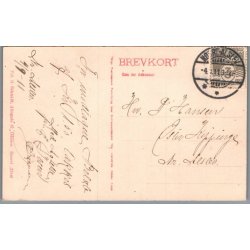 Rosenpartier fra C. Ibsens Planteskole - Falster - Postkort - Brugt