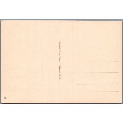 Nakskov - Vandrehjemmet - Postkort - Ubrugt