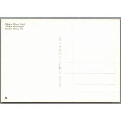 Nakskov - Theisens Gaard - Postkort - Ubrugt