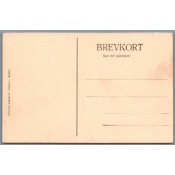 Skovfogedhuset ved S�nderstrand - Postkort  - Ubrugt