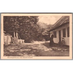 Skovfogedhuset ved S�nderstrand - Postkort  - Ubrugt