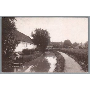 Maribo - Parti ved Aaen  - Postkort - Brugt