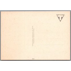 Maribo set fra Kirket�rnet - Postkort - Ubrugt