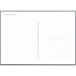 Nysted - Partier fra Havnen - Postkort - Ubrugt