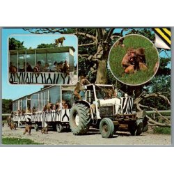 Knuthenborg Safari Park. - Postkort - Ubrugt