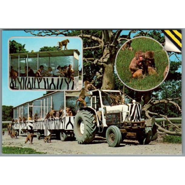 Knuthenborg Safari Park. - Postkort - Ubrugt