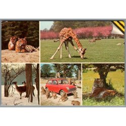 Knuthenborg Safari Park. - Postkort - Brugt