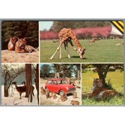 Knuthenborg Safari Park. - Postkort - Ubrugt