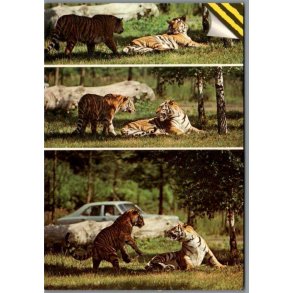 Knuthenborg Safari Park. - Postkort - Ubrugt