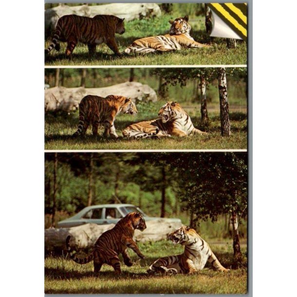 Knuthenborg Safari Park. - Postkort - Ubrugt