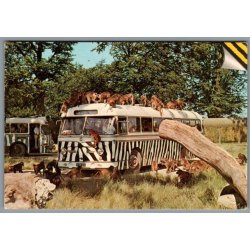 Knuthenborg Safari Park. - Postkort - Ubrugt