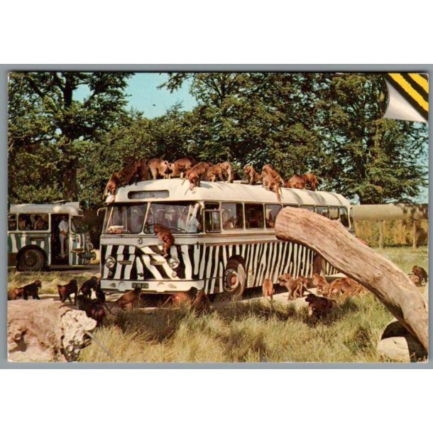 Knuthenborg Safari Park. - Postkort - Ubrugt