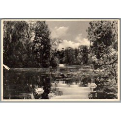 Knuthenborg Park. - Postkort - Ubrugt