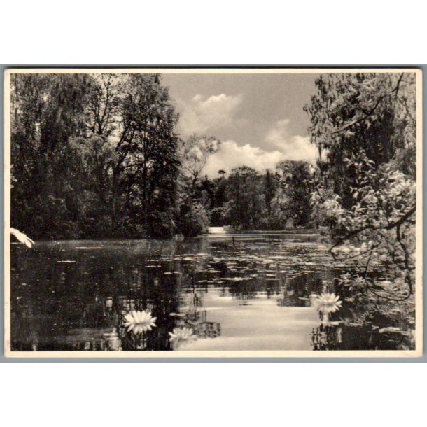 Knuthenborg Park. - Postkort - Ubrugt