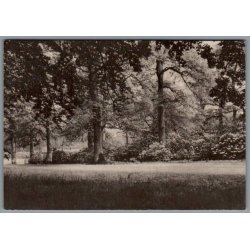 Knuthenborg Park. - Postkort - Brugt