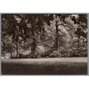 Knuthenborg Park. - Postkort - Brugt