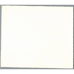 Hasselriis, Else - H. C. Andersen - Kartonkort 18x15 cm - Ubrugt