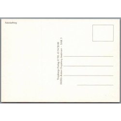 Partier fra Saksk�bing  - Postkort - Ubrugt