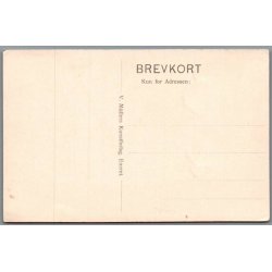 Helsing�r og Omegn - Postkort - Ubrugt