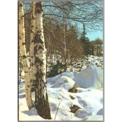 Julemrke 1981 p Postkort