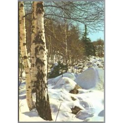 Julem�rke 1980 p� Postkort