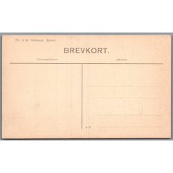 Karmelitternes Sygehus - Helsing�r - Postkort - Ubrugt