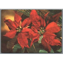 Julemrke 1986 p Postkort