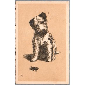 Holm, Peter  - Hund - Postkort  - Brugt