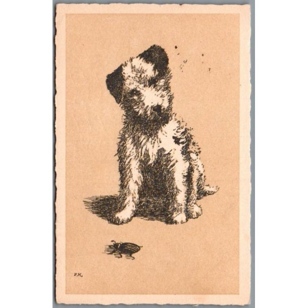 Holm, Peter  - Hund - Postkort  - Brugt