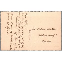 Holm, Peter  - Hund - Postkort  - Brugt