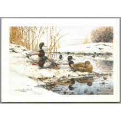 Julemrke 1988 p Postkort