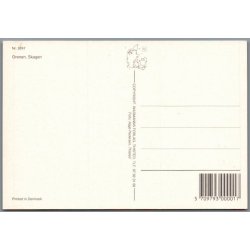 Grenen - Skagen - Postkort - Ubrugt