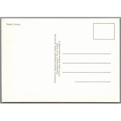 Grenen - Skagen - Postkort - Ubrugt