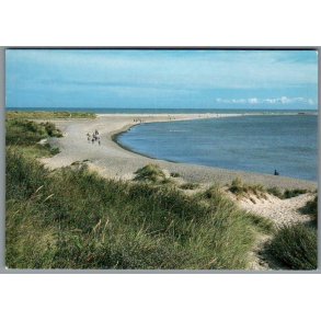 Skagen - Grenen - Postkort - Brugt