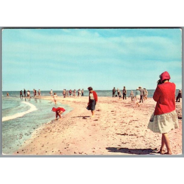 Skagen - Grenen - Postkort - Ubrugt