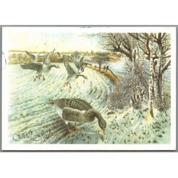 Julemrke 1991 p Postkort