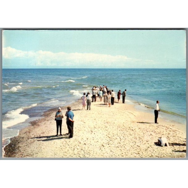 Skagen - Grenens yderste Spids - Postkort - Brugt
