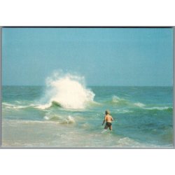 Skagen - Grenen, hvor to have m�des - Postkort - Ubrugt