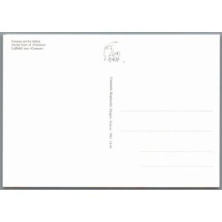 Skagen - Grenen set fra luften - Postkort - Ubrugt