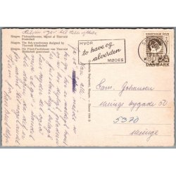 Skagen - Fiskepakhusene - Postkort - Brugt