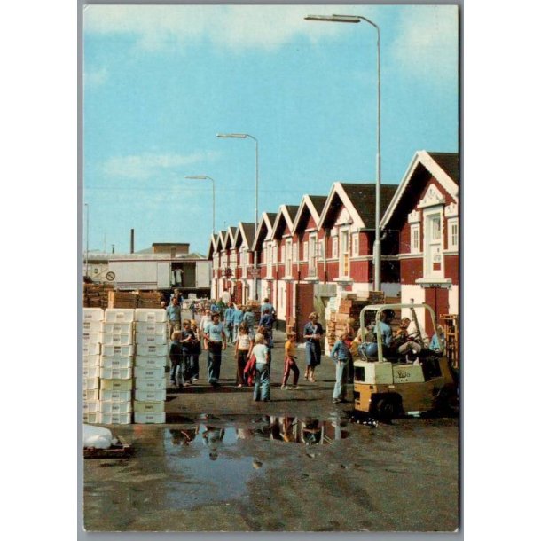 Skagen - Fiskepakhusene - Postkort - Brugt