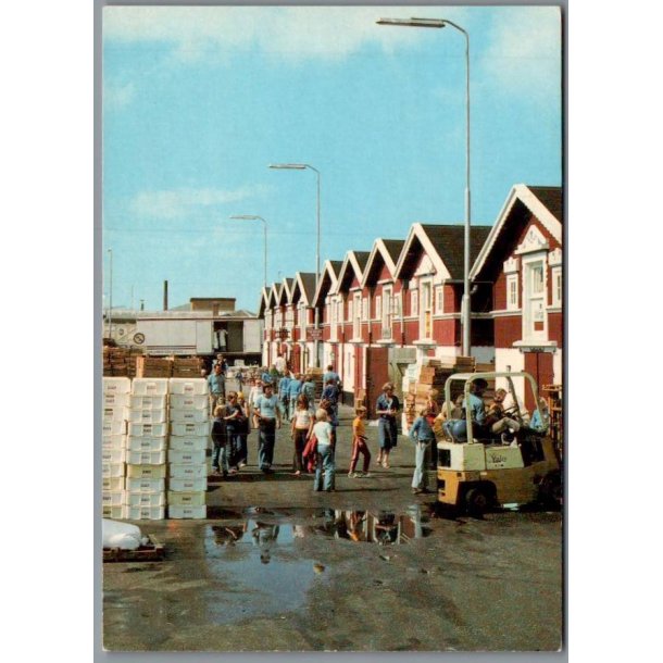 Skagen - Fiskepakhusene - Postkort - Brugt