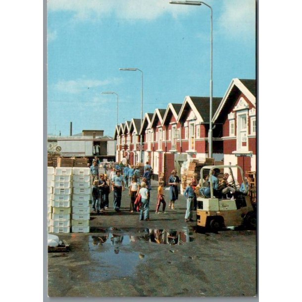 Skagen - Fiskepakhusene - Postkort - Ubrugt